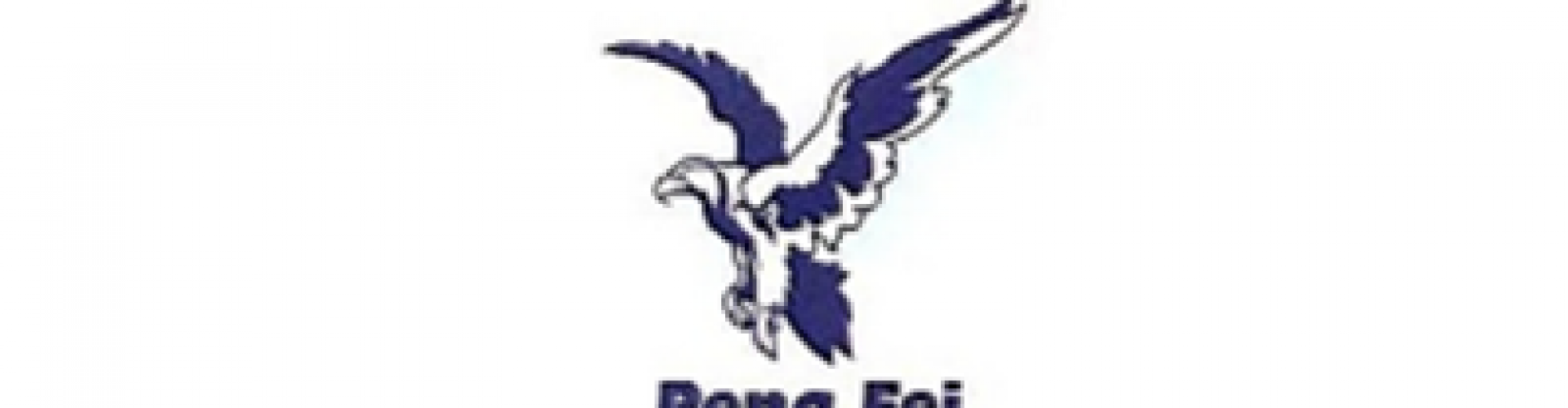 天津市鵬飛商貿(mào)有限公司